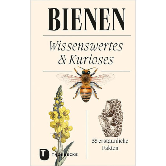Buchumschlag mit dem Titel "Bienen" vom Thorbecke Verlag, mit Biene, gelb blühender Pflanze und Wabe - perfekt für Imkerei-Fans. Untertitel: 55 erstaunliche Fakten.