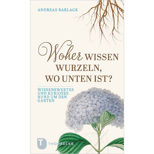 Das Buchcover zeigt eine weiße Hortensienblüte mit freiliegenden braunen Wurzeln darüber. Titel: Woher wissen Wurzeln, wo unten ist? im Thorbecke Verlag. Enthält faszinierende Pflanzenfakten für Hobbygärtner und Gartenliebhaber.