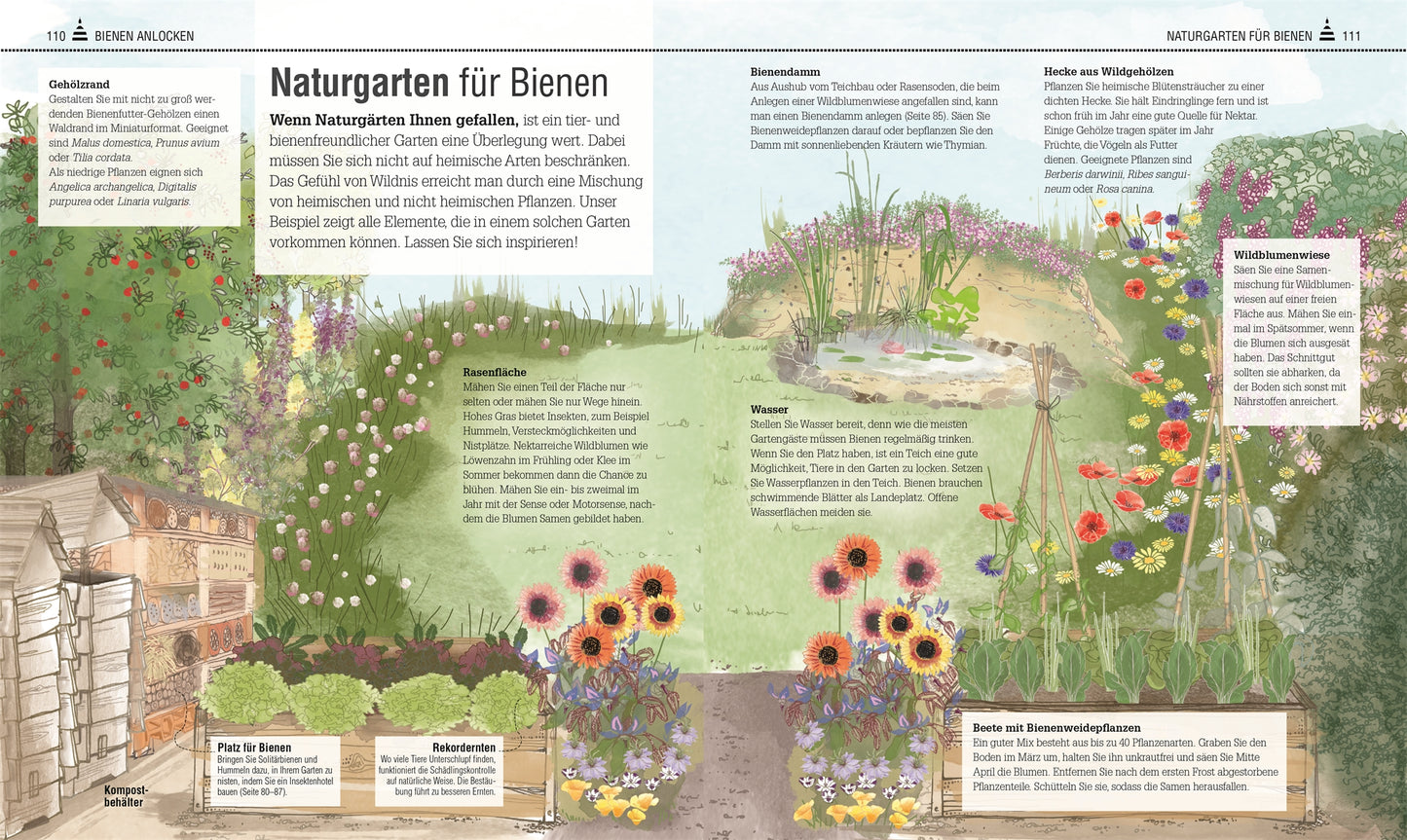 Ein bebilderter Ratgeber aus Das Bienen Buch vom DK Verlag zeigt einen bienenfreundlichen Garten mit verschiedenen Blühpflanzen, einem Bienenhotel, Wildniszonen und deutsch beschrifteten Abschnitten mit Tipps zur Bienenförderung.