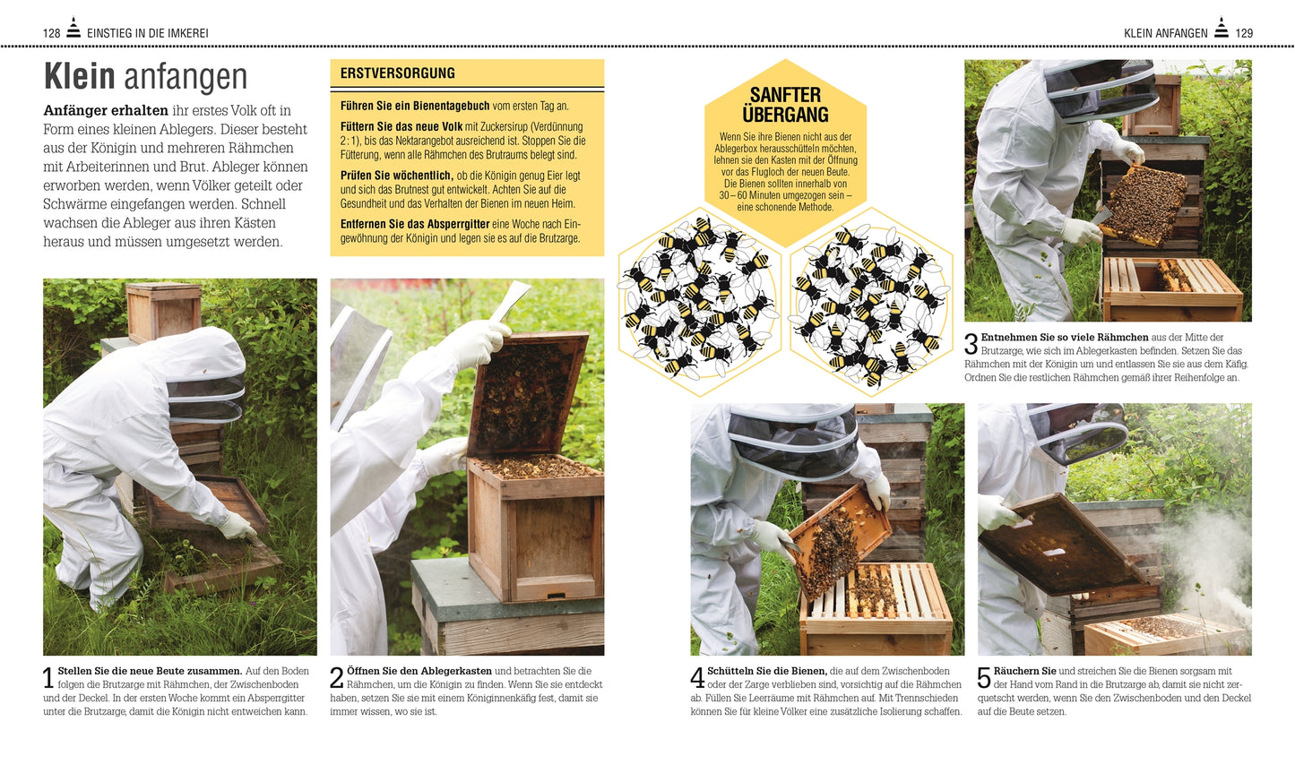 Das Bienen Buch aus dem DK Verlag ist ein Schritt-für-Schritt-Ratgeber für Imkerei-Anfänger mit Fotos von Imkern in Aktion, Diagrammen und klaren Anleitungen - ein Muss für jede Bienenbuchsammlung.