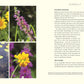 Eine Collage aus vier beschrifteten Fotos zeigt Wildnis im Garten vom DK Verlag - lebendige Blüten und üppiges Grün fangen naturnahes Gärtnern ein. Ideal für jedes Naturgarten- oder Gartenbuch, mit Text auf der rechten Seite.