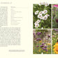 Eine Seite aus Wildnis im Garten vom DK Verlag zeigt Text neben vier beschrifteten Fotos von weißen, rosa, lila und gelben Blumen - und zeigt naturnahes Gärtnern, während eine Biene eine der gelben Blüten besucht.