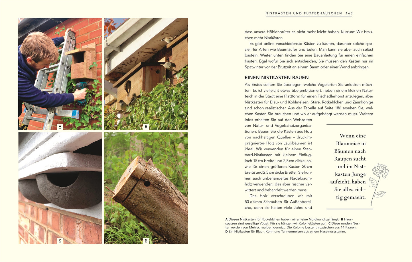 Eine Collage aus "Wildnis im Garten" vom DK Verlag zeigt die Schritte zum Bau von Vogelhäuschen für einen naturnahen Garten, mit Bildern von Messungen unter einem Dach, weißen und braunen Vogelhäuschen und einem, das an einem Baum hängt - ein deutscher Text erklärt, wie man sie baut.