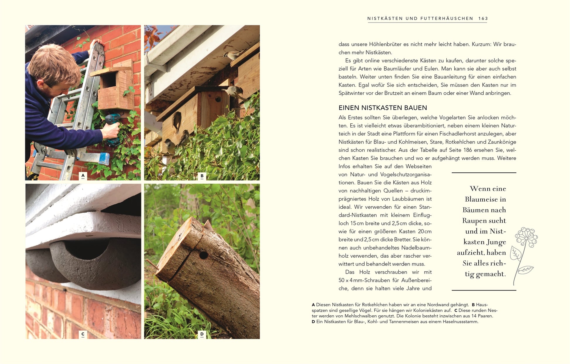 Eine Collage aus "Wildnis im Garten" vom DK Verlag zeigt die Schritte zum Bau von Vogelhäuschen für einen naturnahen Garten, mit Bildern von Messungen unter einem Dach, weißen und braunen Vogelhäuschen und einem, das an einem Baum hängt - ein deutscher Text erklärt, wie man sie baut.