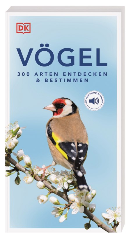 Auf dem Buchcover ist ein farbenfroher Stieglitz auf einem blühenden Zweig abgebildet. Auf hellblauem Hintergrund steht der Titel „Vögel – 300 Arten entdecken & bestimmen“ vom DK Verlag – ein umfassender Leitfaden zu europäischen Vögeln.