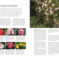 Die neue Gartenschule“ von DK ist ideal für Hobbygärtner: Entdecke klassische Rosen, Fotos von gelben Einzelrosen, rosa Rosenbüscheln und einem Huhn im Ziergarten. Inkl. Sortenübersicht und Pflegetipps für deinen Gartentraum.