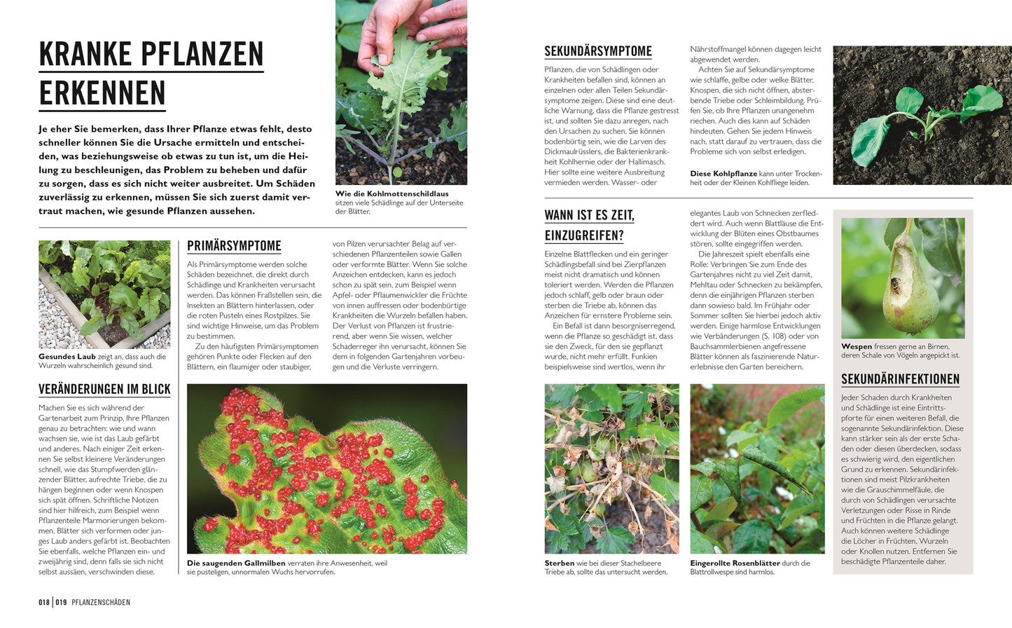 Das Magazin "Grünes Gartenwissen" aus dem DK Verlag. Krankheiten und Schädlinge" zeigt in Text und Bild kranke Pflanzen, Blattflecken und Infektionszeichen mit Expertentipps zur Diagnose und zum umweltfreundlichen Pflanzenschutz.