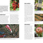 Eine deutsche Magazinseite aus dem DK Verlag "Grünes Gartenwissen. Krankheiten und Schädlinge" behandelt die Themen Obstbau, umweltfreundliche Schädlingsbekämpfung, Pflanzenschutz, Ernte und zeigt Farbfotos von Beeren, Äpfeln, Baumschnitt, Wurzeldeckung und Jungpflanzen.