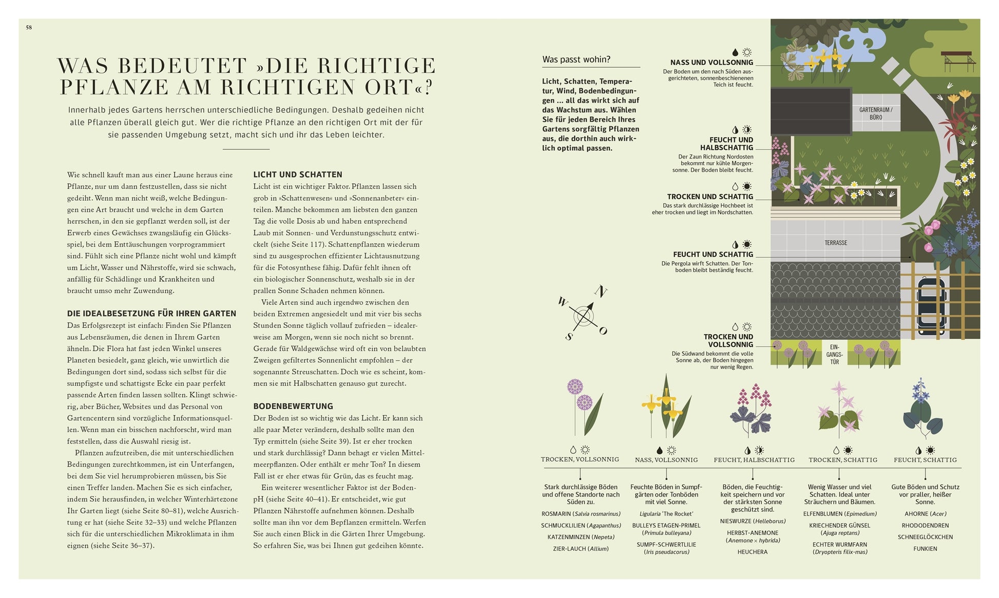 100 Fragen und Antworten zum Gärtnern" von DK Verlag ist ein Gartenbuch auf Deutsch mit Tipps zur Pflanzenwahl für Licht- und Bodenverhältnisse, Gartenplänen, Pflanzensymbolen und einem Schlüssel für Sonne, Schatten und Bodentypen.