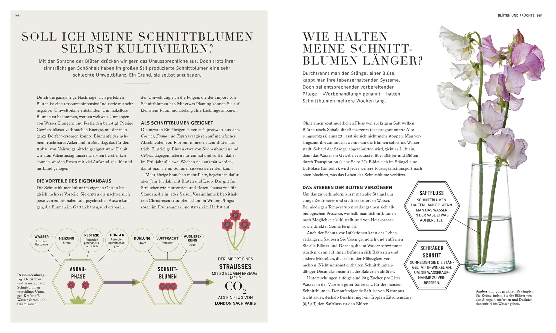 Eine von den "100 Fragen und Antworten zum Gärtnern" des DK Verlags inspirierte Doppelseite zeigt auf der linken Seite einen deutschen Text über Gartenarbeit, Tipps für Schnittblumen, Illustrationen und ein Diagramm, auf der rechten Seite eine Glasvase mit rosa und weißen Blüten.