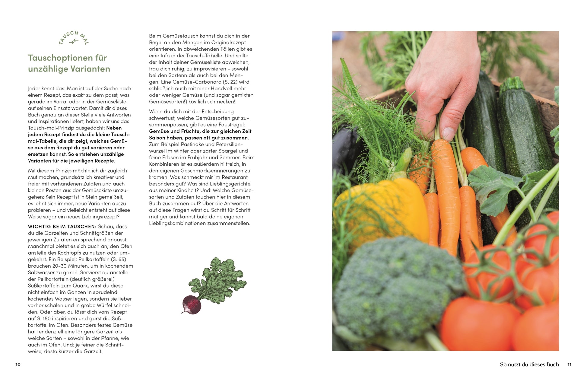 Eine Person hält einen Weidenkorb voller frischer Möhren, Tomaten, gelber Paprika, Zucchini und Gurken - ideal für Rezepte aus "Das Gemüsekisten Kochbuch" vom DK Verlag, perfekt für Gemüserezepte und saisonale Küche.