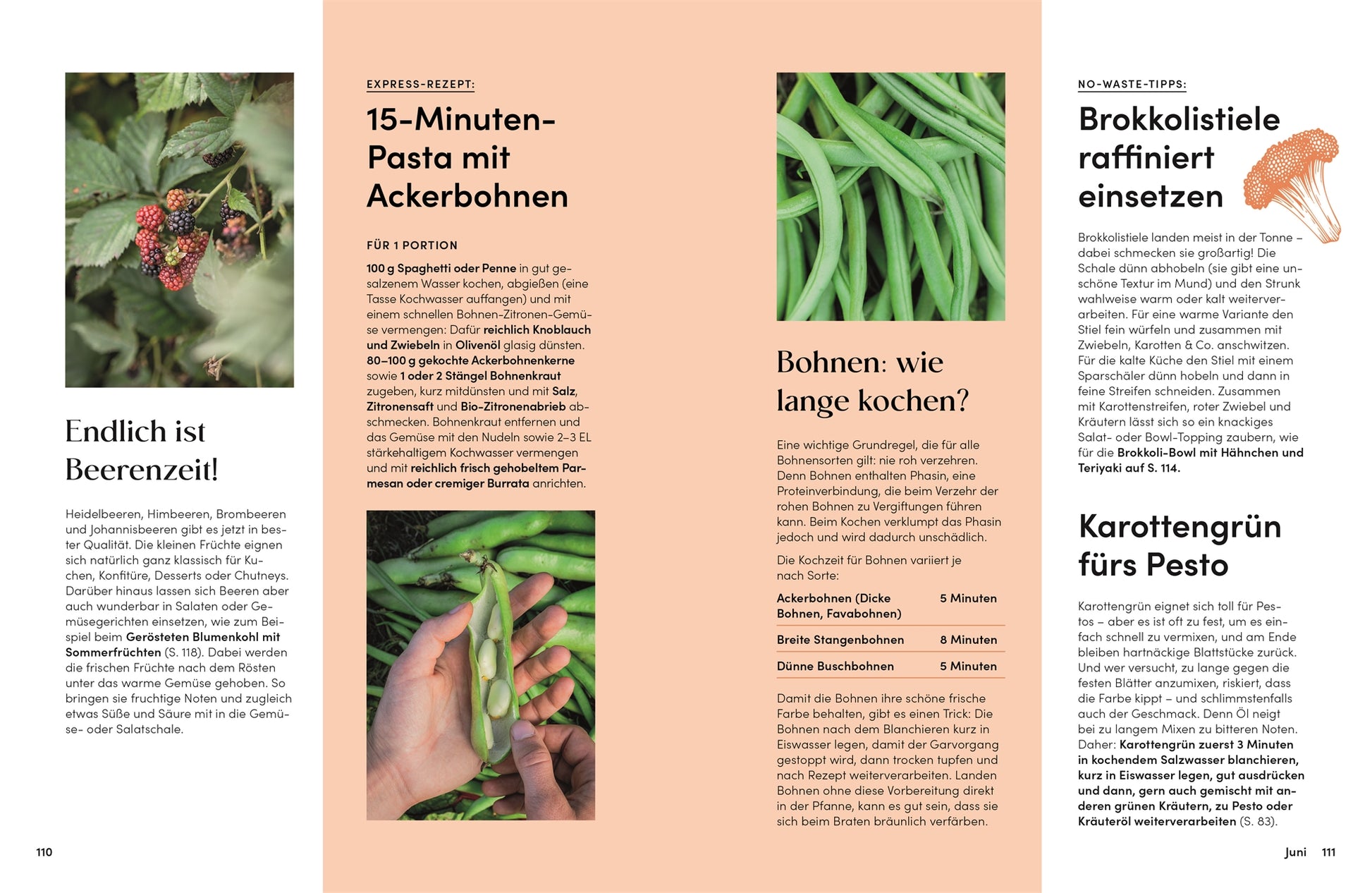 Eine Magazinseite aus Das Gemüsekisten Kochbuch (DK Verlag) zeigt Gemüserezepte und nachhaltige Kochtipps mit Bohnen, Beeren, Brokkolistielen & Karottengrün - inklusive Fotos von Garten-Ernte. Texte auf Deutsch.