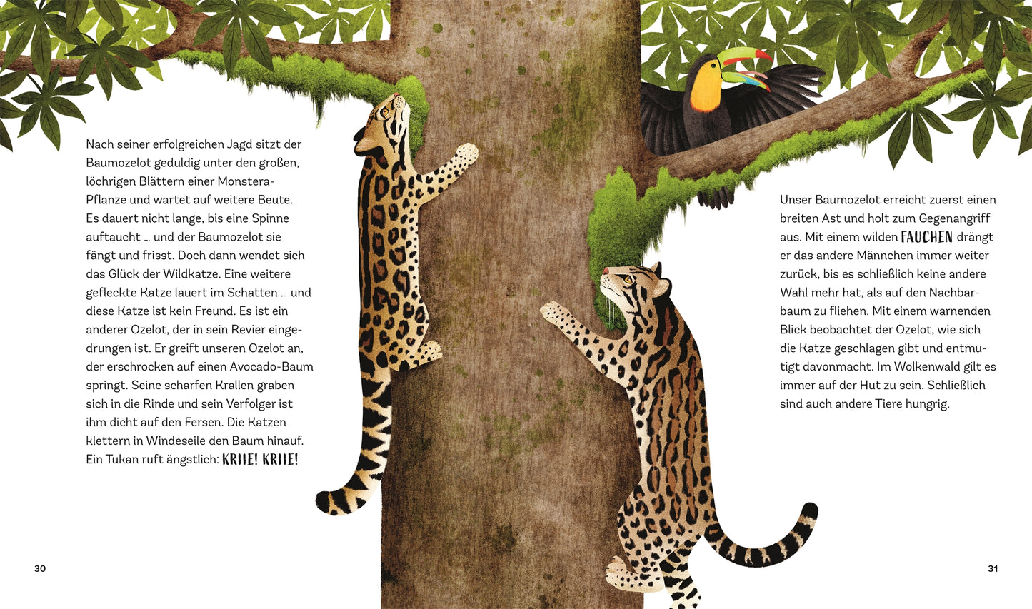 Zwei Margeriten klettern auf einen hohen Baum mit üppigen Blättern, während ein Tukan darüber thront. Durch den deutschen Text eignet sich "Zauber des Waldes - Tiergeschichten" aus dem DK Verlag perfekt als Kinderbuch Waldtiere oder Naturbuch ab 5 Jahren für junge Entdecker.