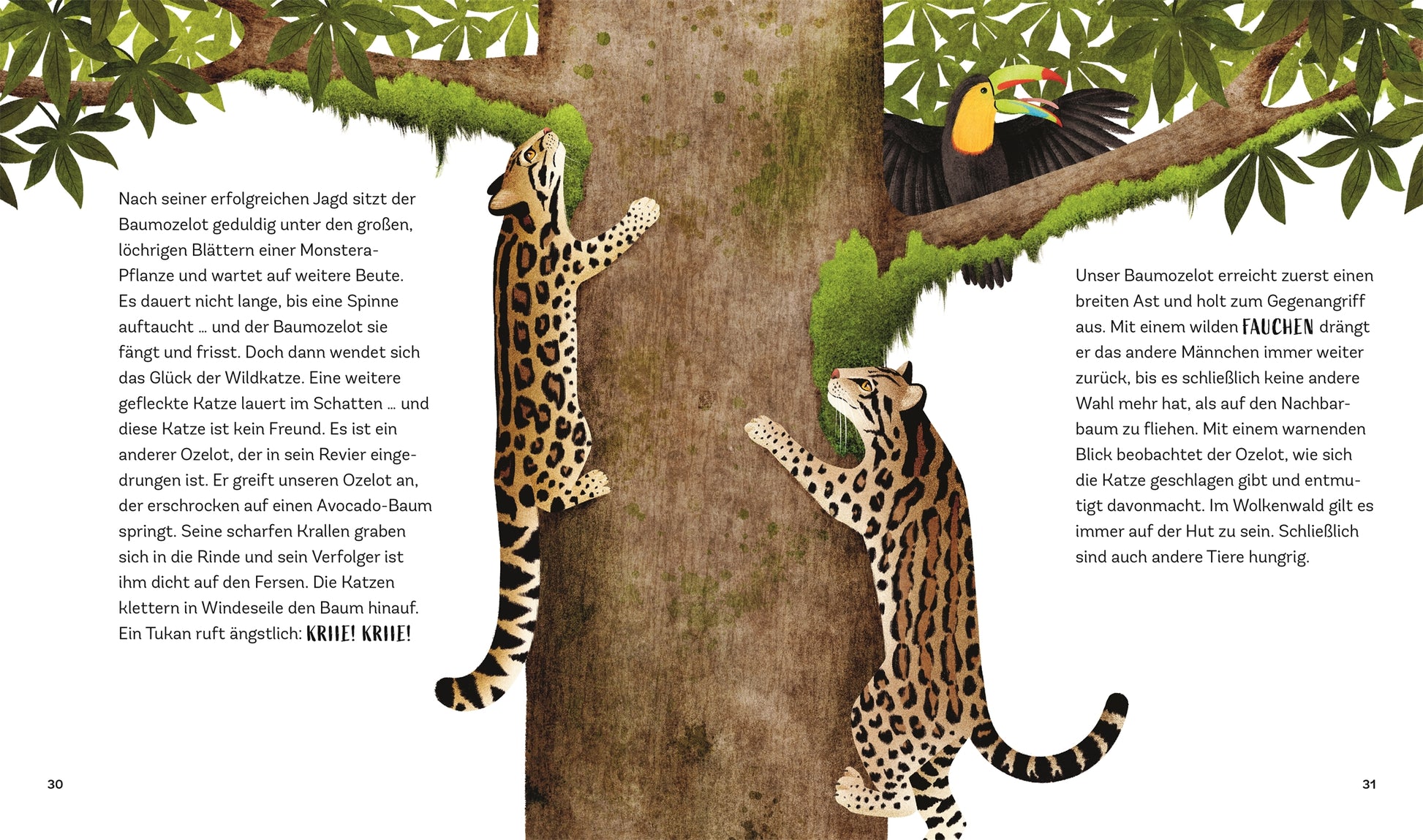 Zwei Margeriten klettern auf einen hohen Baum mit üppigen Blättern, während ein Tukan darüber thront. Durch den deutschen Text eignet sich "Zauber des Waldes - Tiergeschichten" aus dem DK Verlag perfekt als Kinderbuch Waldtiere oder Naturbuch ab 5 Jahren für junge Entdecker.