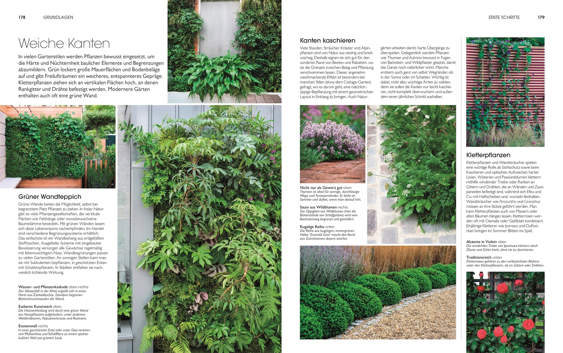 Eine Doppelseite aus "Gartendesign - Die große Enzyklopädie" des DK Verlags zeigt Fotos von üppigen Kletterpflanzen, dichten Hecken und vertikalen Gärten mit deutschem Text über das Abmildern von Kanten und das Anlegen von Grünflächen.