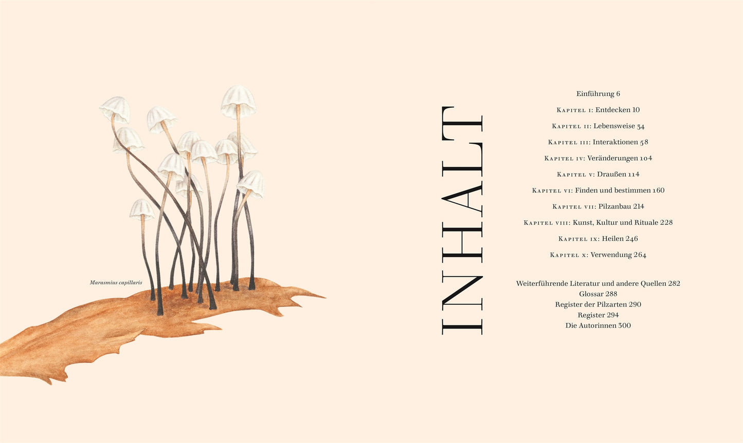 Zarte weiße Pilze mit dünnen Stielen ragen aus brauner Erde auf beigem Boden. Rechts zeigt die INHALT-Tabelle die Pilze-Kapitelüberschriften und Seiten in deutscher Sprache. Dieses Buch aus dem DK Verlag ist ideal für Pilze-Fans und für jeden Pilzliebhaber.