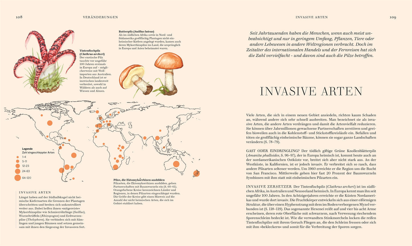 Eine Doppelseite aus dem "Pilze"-Sachbuch des DK Verlags zeigt einen deutschen Text über invasive Arten mit Abbildungen eines Tintenfischs, von Pilzen, einer Weltkarte, die Regionen markiert, sowie Überschriften und Absätzen.