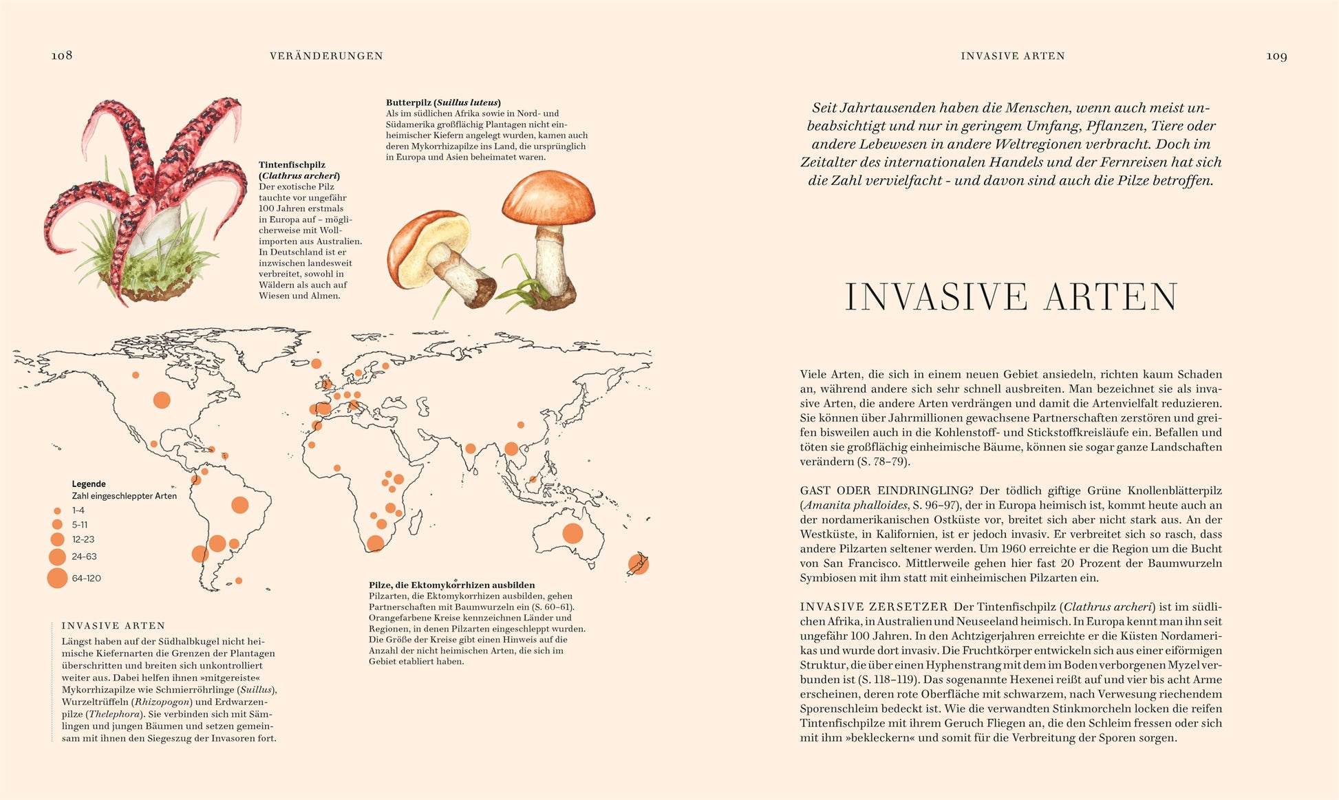 Eine Doppelseite aus dem "Pilze"-Sachbuch des DK Verlags zeigt einen deutschen Text über invasive Arten mit Abbildungen eines Tintenfischs, von Pilzen, einer Weltkarte, die Regionen markiert, sowie Überschriften und Absätzen.