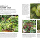 Eine Magazinseite zeigt reife Himbeeren, eine Stachelbeere am Zweig, getopfte Erdbeeren und Expertentipps aus dem Buch "So geht Garten" des DK Verlags für Gartenanfänger mit kleinen Nutz- und Ziergärten.