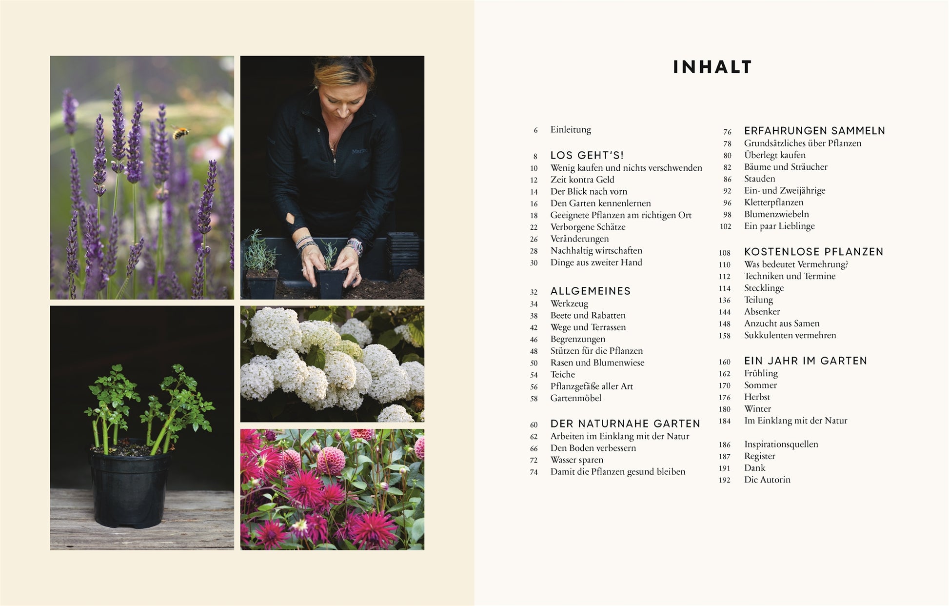 Eine Collage aus Gartenfotos - Lavendel, Topfpflanzen, Hortensien - illustriert das Buch "Gärtnern für wenig Geld" des DK Verlags; rechts ist das deutsche Inhaltsverzeichnis dieses preisgünstigen Gartenbuchs zu sehen.