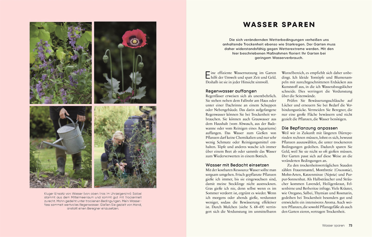Eine Seite aus dem Buch "Gärtnern für wenig Geld" des DK Verlags zeigt Hände, die Pflanzen gießen, einen roten Mohn, Hochbeete und eine Gießkanne - ideal für nachhaltiges Gärtnern. Auf der rechten Seite gibt es deutsche Tipps zum Wassersparen.