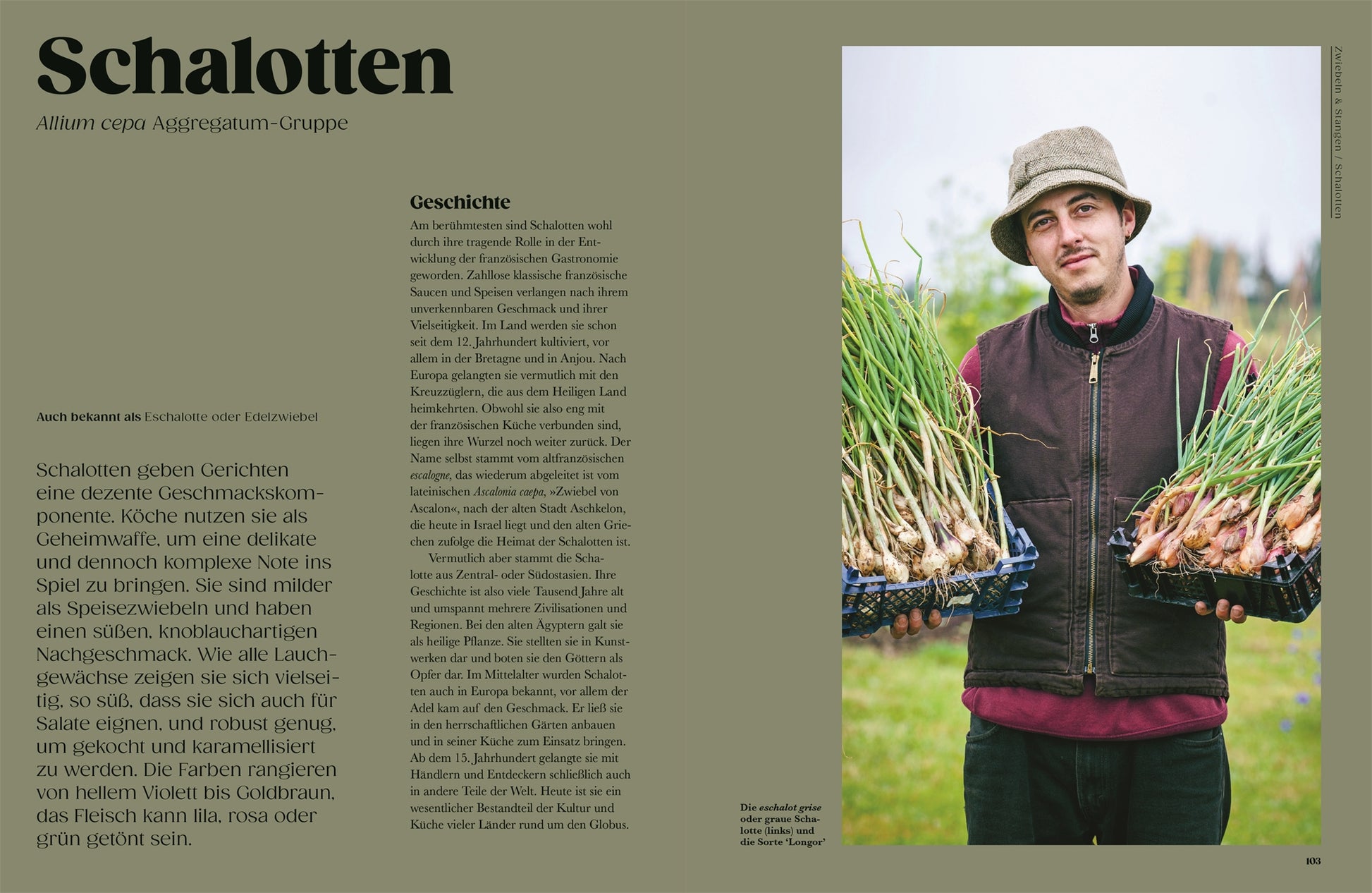 Ein Mann mit Hut und Weste steht im Freien mit Schalen frischer Schalotten - eine inspirierende Szene für jeden Pflanzenführer. Auf der linken Seite finden sich der Titel "Auf der Jagd nach alten Sorten" aus dem DK Verlag und historische Details zu alten Gemüsesorten.