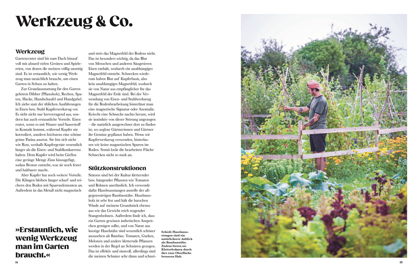 Ein Mann mit Hut und grünem Hemd kümmert sich mit einer Gartenschere um seltene Gemüsesorten in der Nähe eines Holzzauns, inspiriert von "Auf der Jagd nach alten Sorten" aus dem DK Verlag, in einem üppigen Garten voller hoher Pflanzen und Blumen an einem sonnigen Tag.