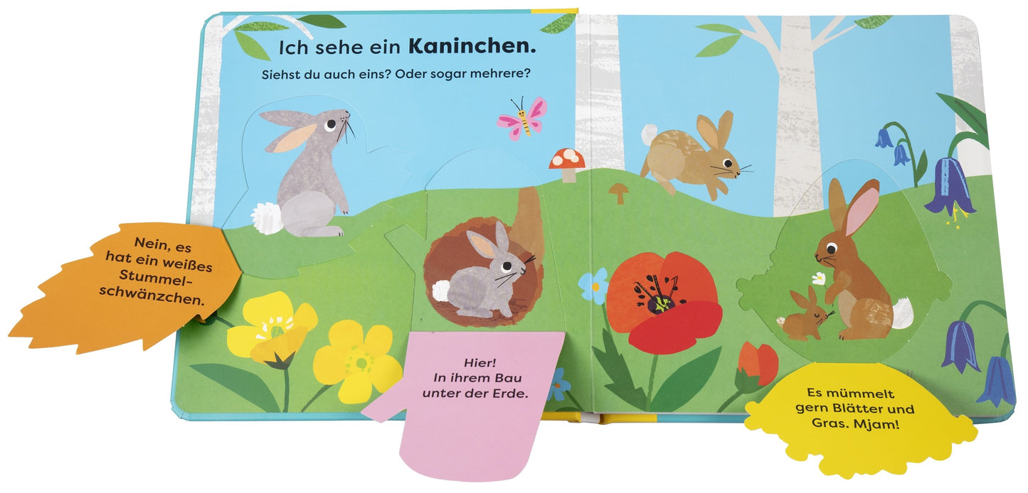 Das bunte Pappbilderbuch "Natur-Entdeckerbuch: Da! Ein Fuchs" vom DK Verlag zeigt Waldtiere mit deutschen Sprechblasen und interaktiven Klappen, um spielerisch ihre Aktivitäten auf einer blumenreichen Wiese zu entdecken.