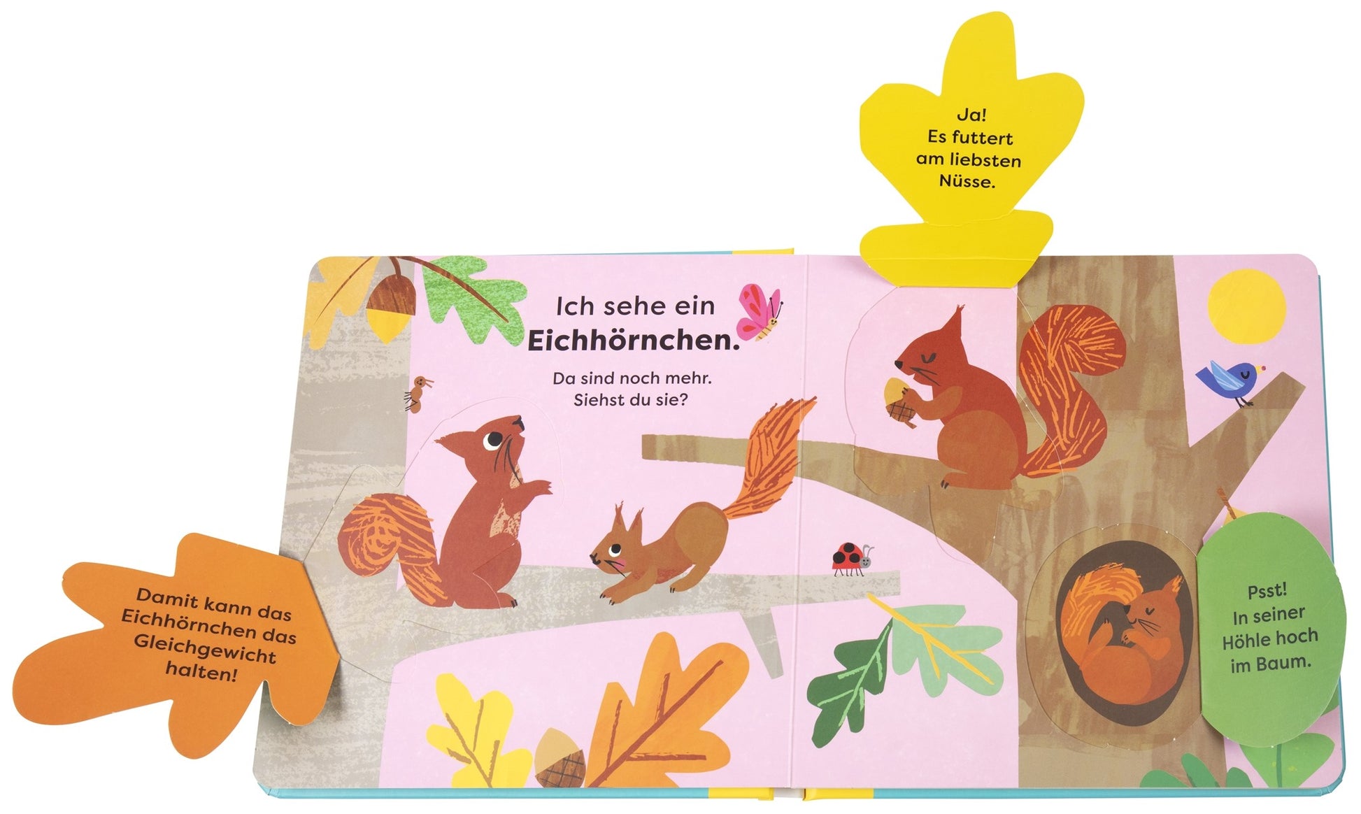 Natur-Entdeckerbuch: Da! Ein Fuchs" aus dem DK Verlag ist ein farbenfrohes Pappbilderbuch für Kinder mit illustrierten Eichhörnchen auf Bäumen und gelben Klappen in Form von Blättern, die lustige Fakten zum Eichhörnchen im Waldtiere Buch verraten.