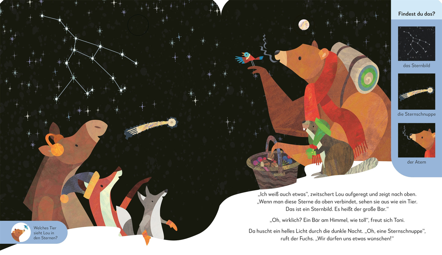 In "Toni & Lou. Eine Nacht im Winterwald" aus dem DK Verlag beobachten ein Bär mit Obstkorb, ein Fuchs, ein Dachs und ein Pinguin den Sternenhimmel und entdecken ein Sternbild, eine Sternschnuppe und einen Kometen. Beilagen zeigen Nahaufnahmen der Sterne und Himmelsereignisse.