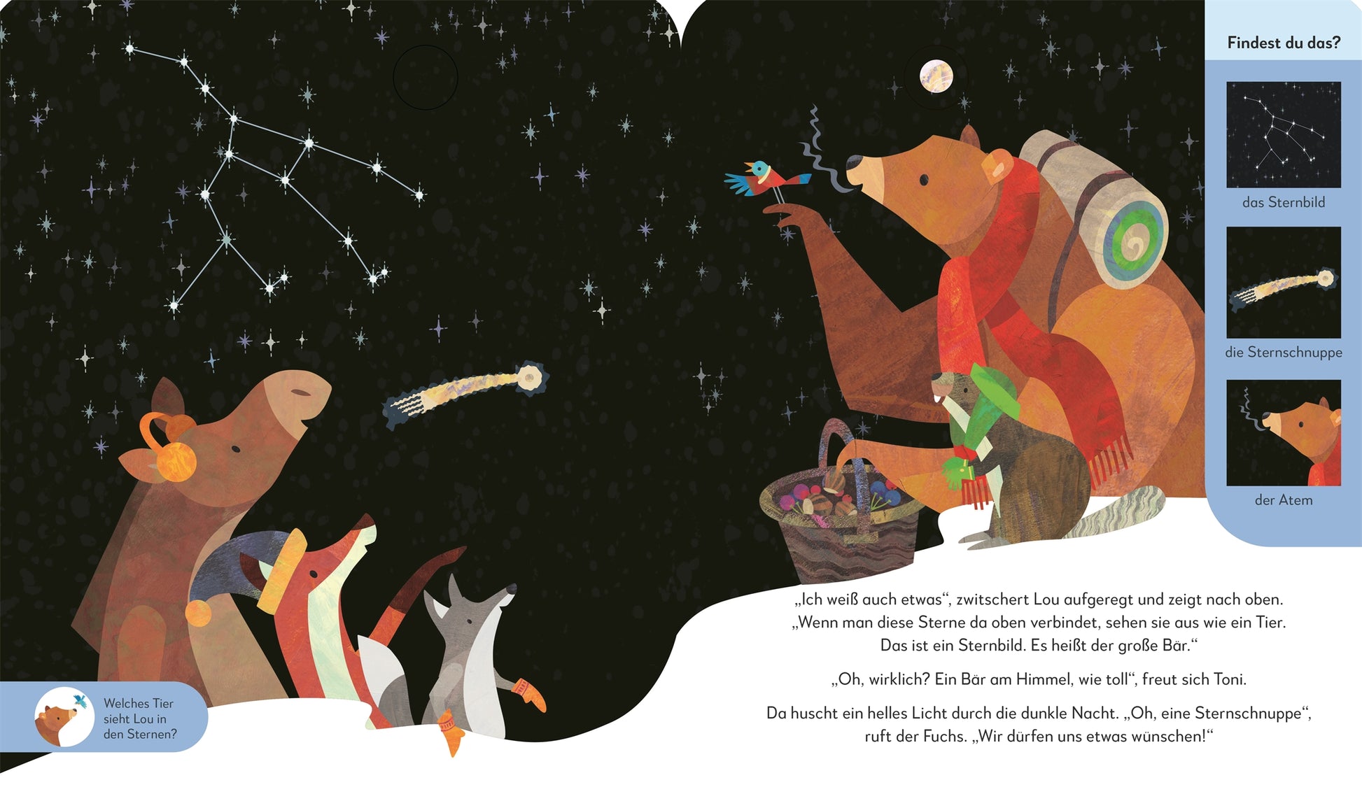 In "Toni & Lou. Eine Nacht im Winterwald" aus dem DK Verlag beobachten ein Bär mit Obstkorb, ein Fuchs, ein Dachs und ein Pinguin den Sternenhimmel und entdecken ein Sternbild, eine Sternschnuppe und einen Kometen. Beilagen zeigen Nahaufnahmen der Sterne und Himmelsereignisse.