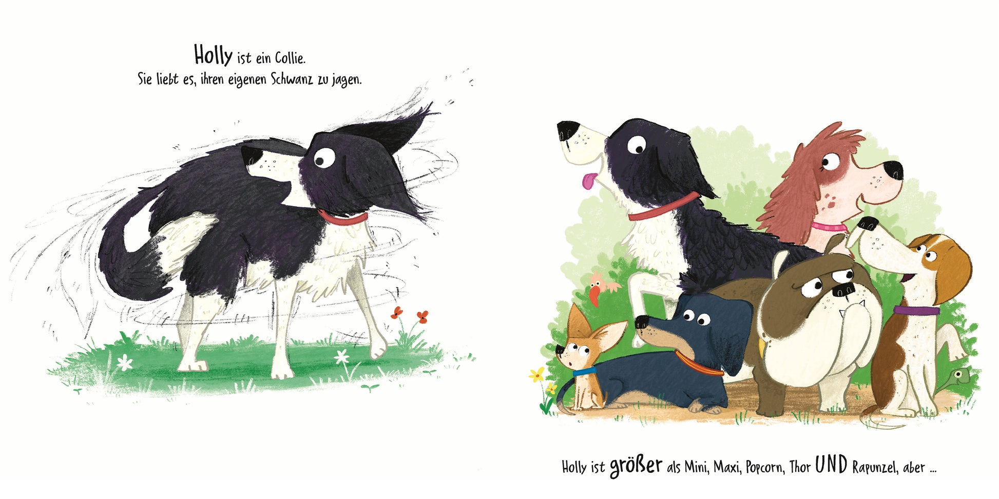 Links schüttelt ein schwarz-weißer Collie das Wasser ab, rechts sitzt er mit sechs anderen Hunden zusammen. Deutscher Text umgibt die Bilder in "Wau, wau, WAU! Wer ist der größte Hund" aus dem DK-Verlag.