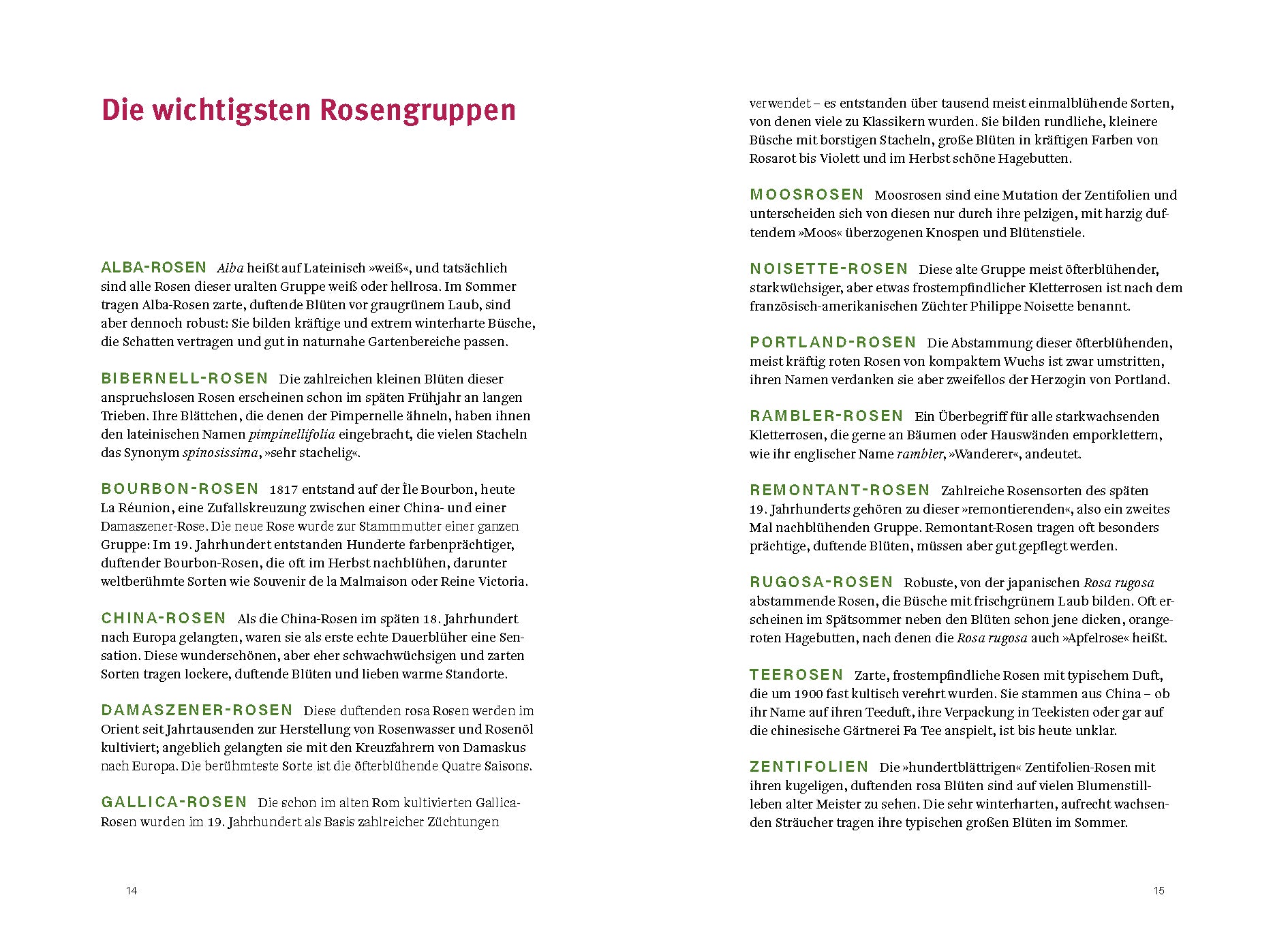 Der zweiseitige deutsche Text „Historische Rosen“ vom Dumont Verlag listet und beschreibt verschiedene Rosensorten in kurzen Spalten, mit farbigen Gruppennamen zur Hervorhebung und einem klaren Layout, das an ein Gartenbuch erinnert.