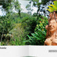 Eine Terrakotta-Statue im Maya-Stil mit einer gelben Bromelie auf der Spitze steht inmitten üppiger Dschungelblätter im Botanischen Garten von Belize, der in „Botanische Gärten“ des Gerstenberg Verlags vorgestellt wird, einem renommierten mittelamerikanischen Paradies für Naturschutz.