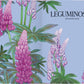 Lebendige Illustration von rosa, lila und weißen Lupinen mit grünen Blättern auf hellblauem Grund, inspiriert von der botanischen Künstlerin Adriana Picker. Mit dem Text LEGUMINOSEN LEGUMINOSAE. Aus Blüten vom Gerstenberg Verlag - perfekt für Blumenliebhaber.