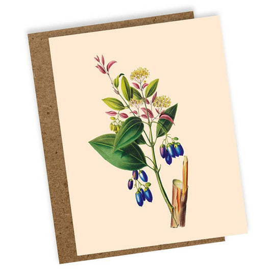 Die 30x40 - Swing-Minikarte von 30x40 zeigt grüne Blätter, gelbe Blüten und blaue Beeren vor hellem Hintergrund und ist in Deutschland auf hochwertigem Recyclingpapier gedruckt.