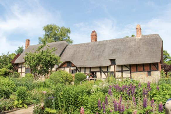 Ein englisches Cottage mit Strohdach und Ziegelschornsteinen, umgeben von einem üppigen Garten, illustriert die englische Gartenkunst, wie sie in "Gärtnern wie Gott in England" aus dem Callwey Verlag zu sehen ist, mit grünen Pflanzen und violetten Blumen unter blauem Himmel.