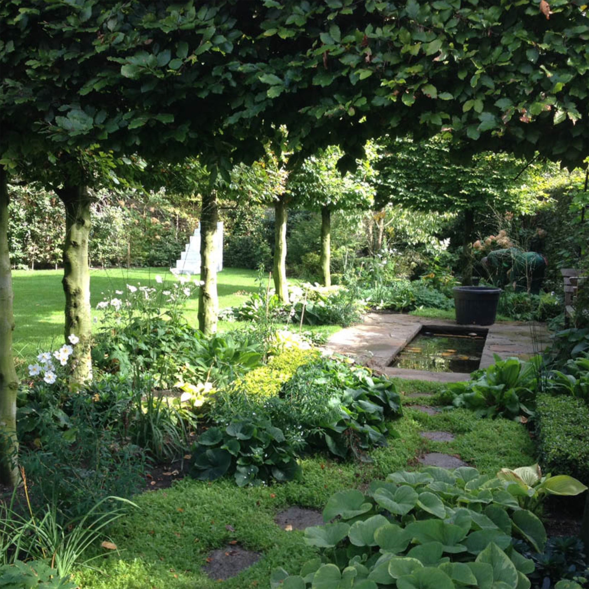 Holen Sie sich Inspiration für Ihren eigenen üppigen Garten bei Gabriella Pape's Do. 12.03.2026 | 10.00-13.00 Uhr HALBTAGESKURS Grundlage der Gartengestaltung - lernen Sie Gestaltungsgrundlagen inmitten von Grün, Steinwegen und ruhigen, reflektierenden Teichen.