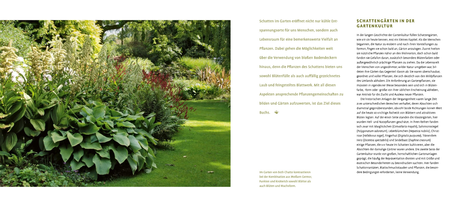 Ein üppiger Schattengarten mit Schattenstauden des Verlags Eugen Ulmer grenzt an einen gepflegten Rasen; hohe blühende Pflanzen stehen im Hintergrund und dichte Bäume spenden reichlich Schatten. Der deutsche Text zur Gartengestaltung erscheint auf der rechten Seite.