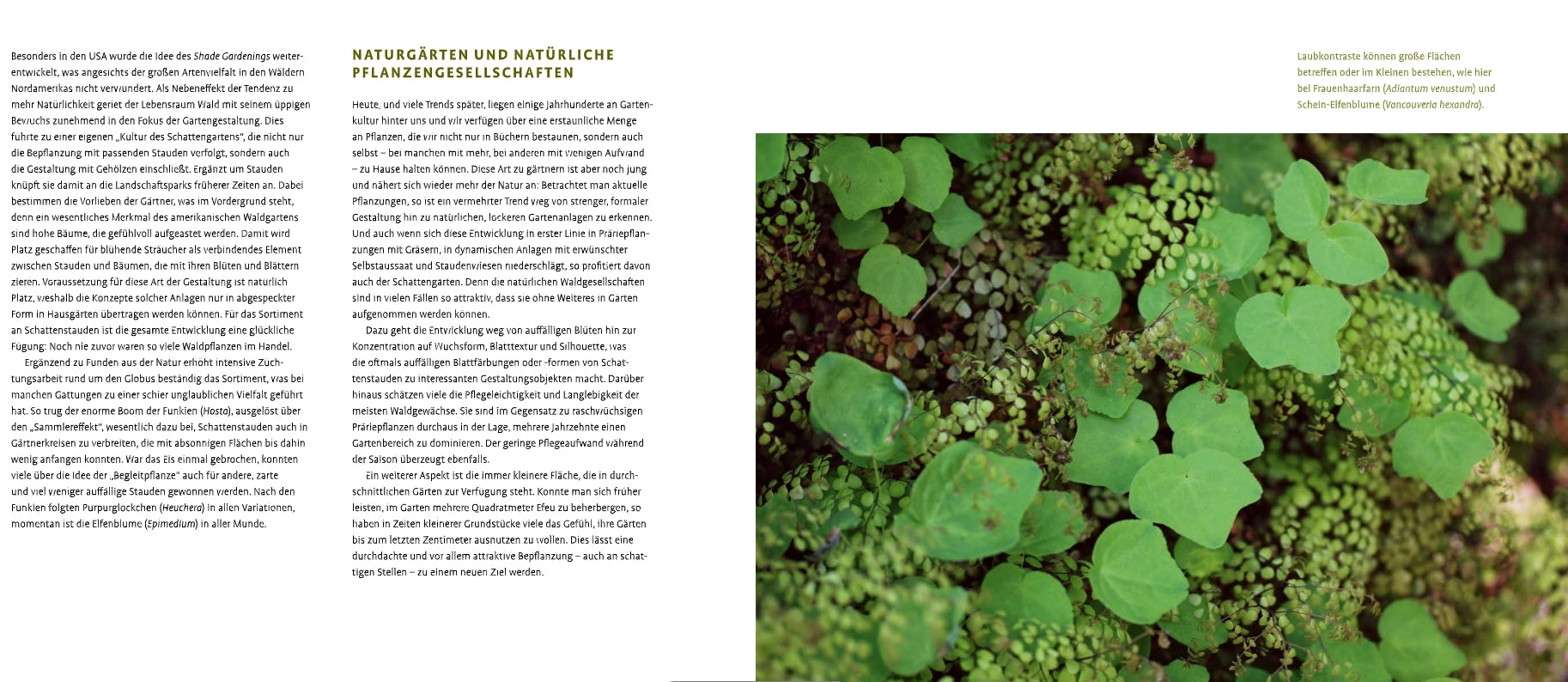 Rechts eine Nahaufnahme von Schattenstauden und üppigem Grün auf Waldboden, links drei deutsche Textkolumnen aus dem Verlag Eugen Ulmer über naturalistische Gartengestaltung und Pflanzengesellschaften.
