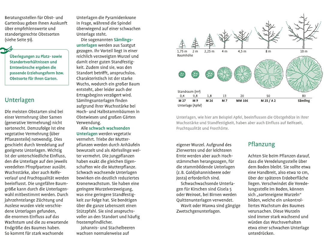 Das Faltblatt "1x1 des Obstbaumschnitts" vom Verlag Eugen Ulmer zeigt Wuchsformen, Wurzelsysteme und Abstände mit grün schattierten Diagrammen zu Baumformen und Obstbaumschnitt; der Text ist in Spalten angeordnet.