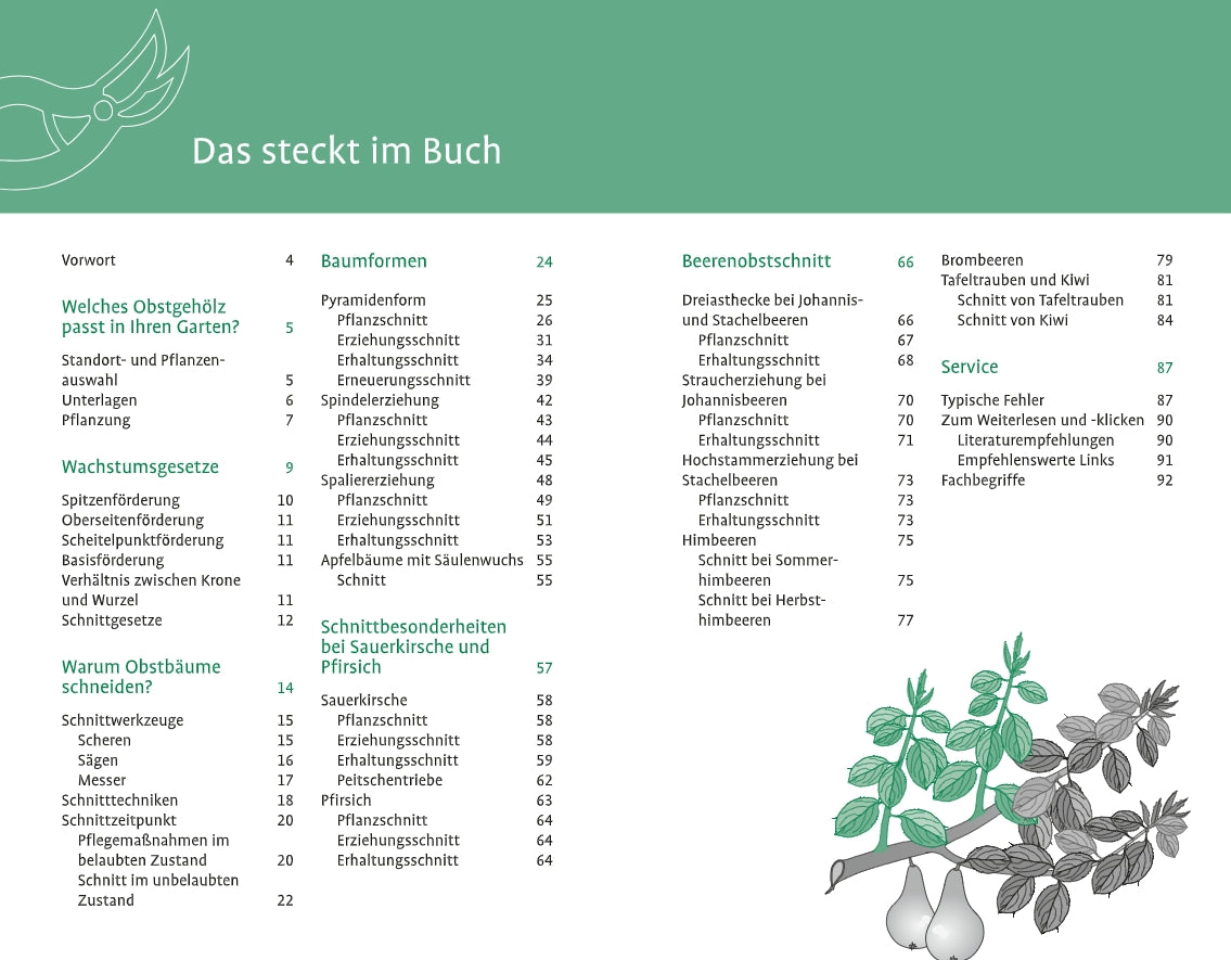 Das Inhaltsverzeichnis des "1x1 des Obstbaumschnitts" aus dem Verlag Eugen Ulmer zeigt grüne Akzente, einen Baumzweig mit Früchten sowie Abschnitte über Gartenplanung, Beerenanbau, zu vermeidende Fehler und Schnitttechniken.