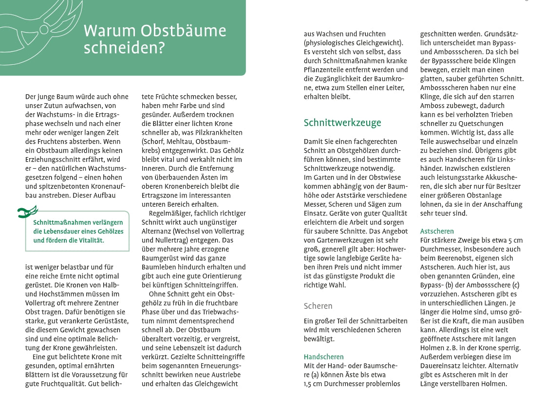Der Flyer "1x1 des Obstbaumschnitts" vom Verlag Eugen Ulmer erklärt Gründe und Vorteile des Obstbaumschnitts mit Abbildungen, Tipps, Werkzeuganleitungen und einer klaren grün-weißen Gestaltung mit fetten Überschriften. Alle Infos sind in deutscher Sprache.