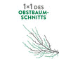 Deutscher Buchumschlag mit dem Titel "1x1 des Obstbaumschnitts" mit einer Abbildung eines Baumzweigs, ideal zum Erlernen des Obstbaumschnitts. Die Autoren Rolf Heinzelmann und Manfred Nuber sind oben abgebildet, das Logo des Verlags Eugen Ulmer in der Ecke.