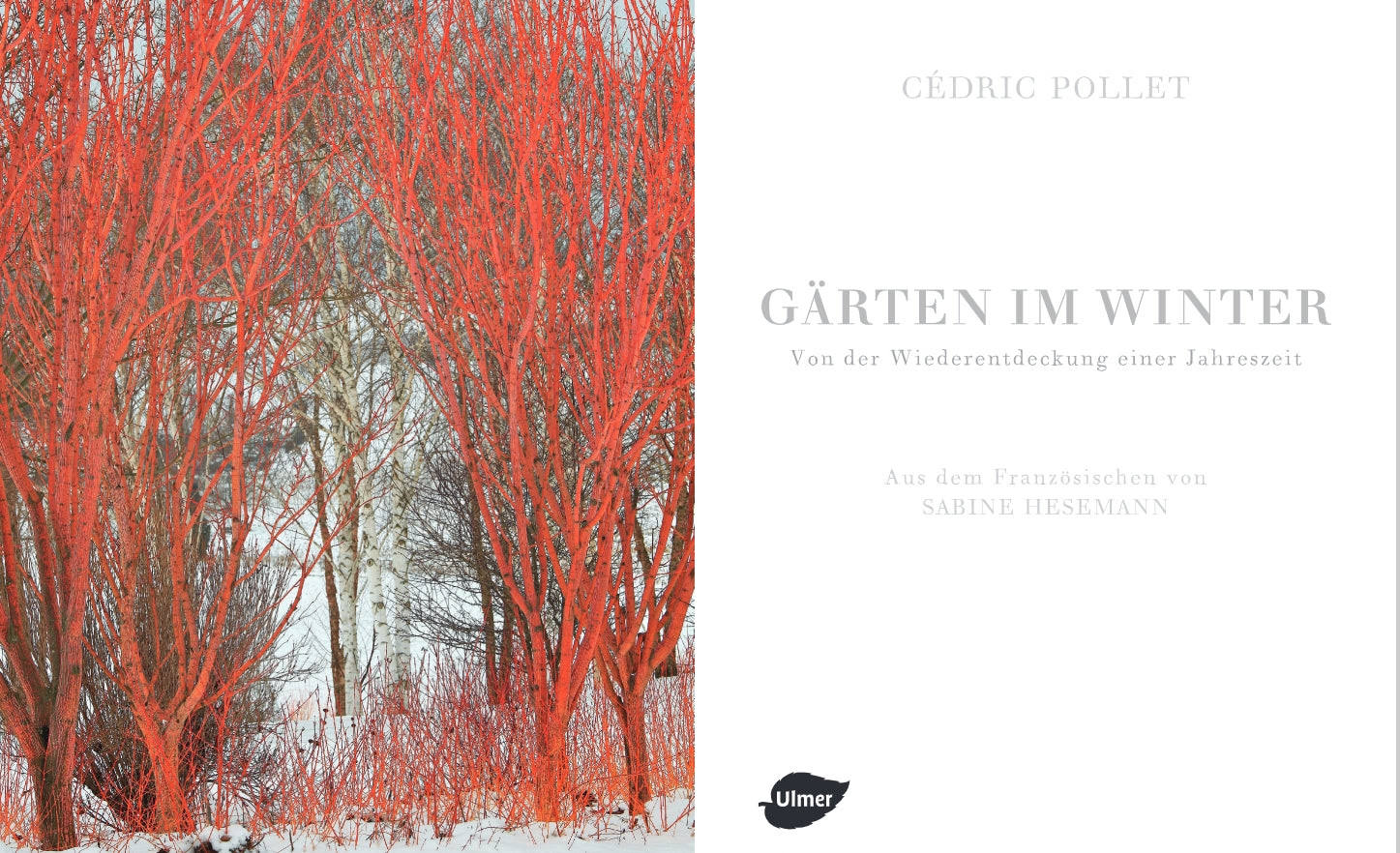 Das Cover von Gärten im Winter aus dem Verlag Eugen Ulmer zeigt leuchtend rote Äste von blattlosen Bäumen in einer verschneiten Landschaft, mit dem Titel und dem Verlag auf einem sauberen weißen Hintergrund.