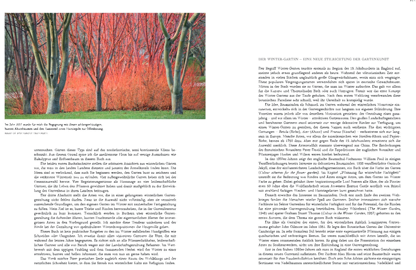 Ein Foto aus "Gärten im Winter" des Verlags Eugen Ulmer zeigt blattlose Bäume mit roten Rinden vor leuchtend orangeroten Sträuchern, daneben ein deutscher Text über winterblühende Pflanzen und Gartengestaltung im Winter.