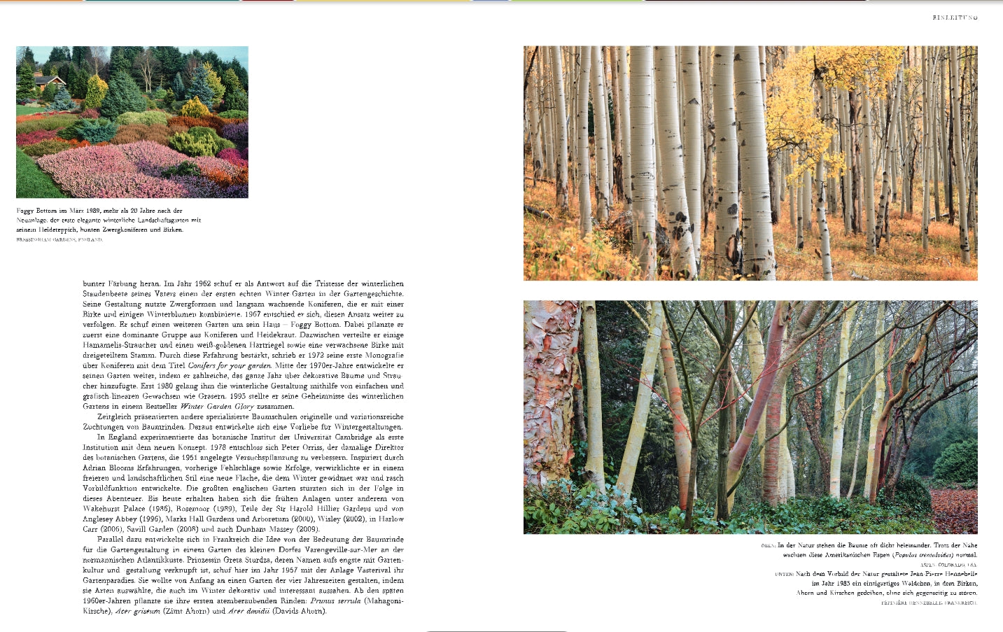 Eine Doppelseite aus Gärten im Winter vom Verlag Eugen Ulmer zeigt lebendige Gartenbeete und Stämme von Birke, Espe und Eukalyptus in üppiger Winterlandschaft, mit deutschen und englischen Bildunterschriften, die Gestaltungstipps geben.