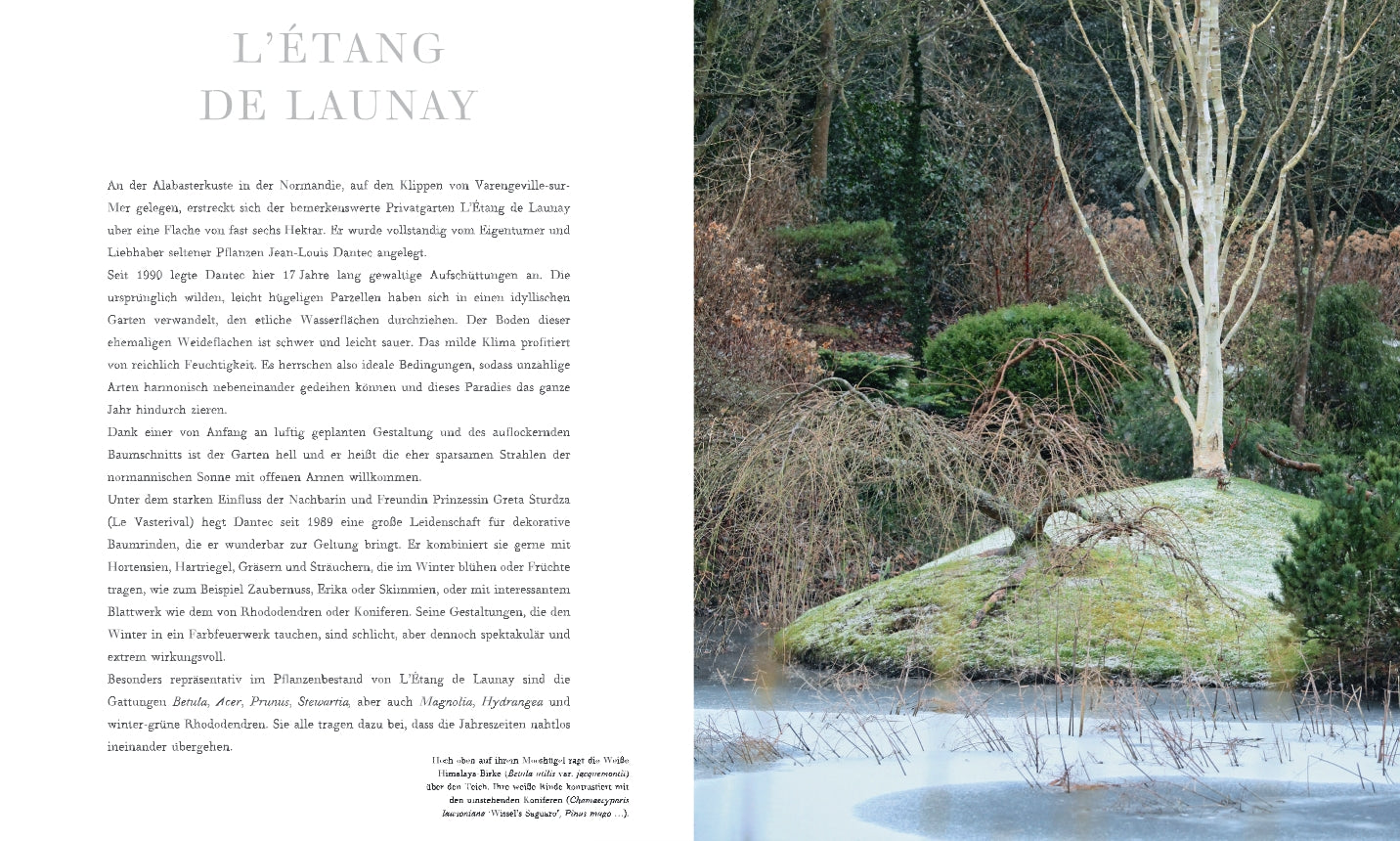 Inspiration für Wintergärten: Ein teilweise zugefrorener Teich mit kahlen Bäumen und Weidenzweigen umgibt einen moosbewachsenen Boden - entdecken Sie Ideen wie diese in "Gärten im Winter" vom Verlag Eugen Ulmer.