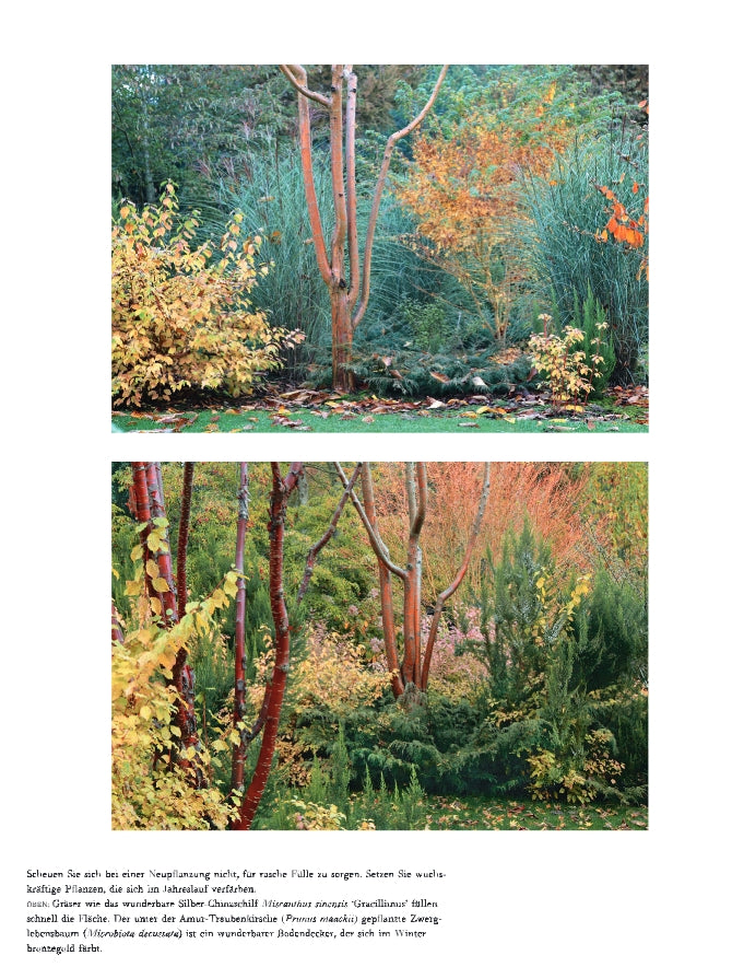 Zwei Fotos eines Gartens im Herbst: Das obere zeigt leuchtendes rotes, gelbes und grünes Laub; das untere zeigt dichtes Grün - ideal für Gärten im Winter als Inspiration. Der Text erscheint darunter. Marke: Verlag Eugen Ulmer.