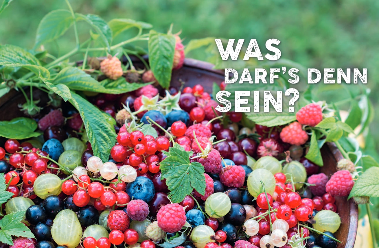 Eine Schale mit frischen Beeren und Stachelbeeren aus dem Obstgarten – einfach machen! des Verlags Eugen Ulmer steht im Freien, gemischt mit grünen Blättern. „WAS DARF’S DENN SEIN?“ steht in fettem weißen Text auf der rechten Seite.
